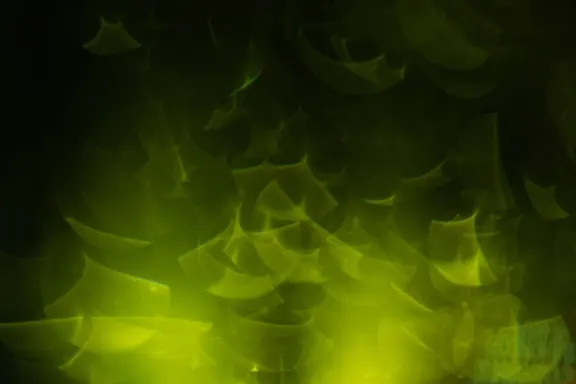 بليون كازينو الدعم